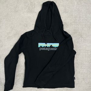 Cropped Patagonia Hoodie
